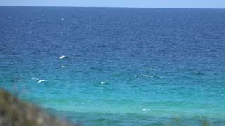 Closeup of sparkling Gulf waters